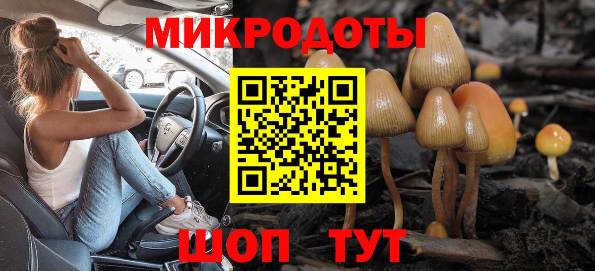 Псилоцибиновые грибы MAGIC MUSHROOMS Кизляр