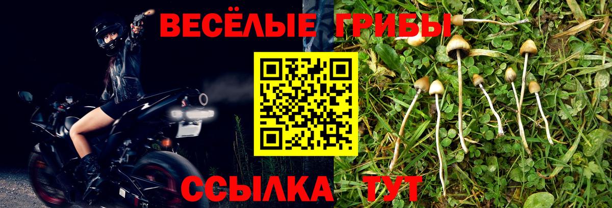 Кизляр  Галлюциногенные грибы мухоморы  Вход с VPN 
